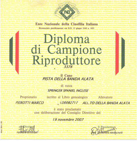 Diploma Pista.jpg